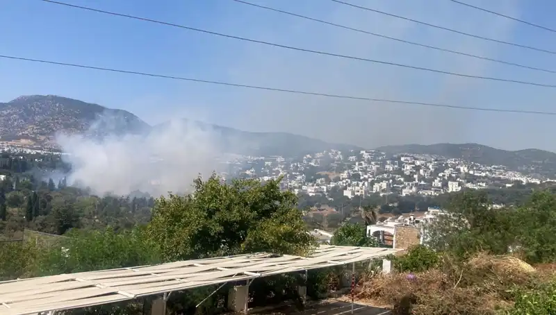 Muğla'daki Orman Yangınları Kontrol Altına Alındı: Son Durum ve Tatbikatlar Neler?