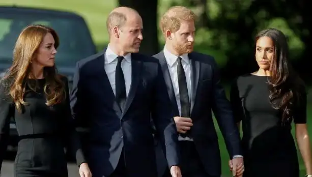 Prens William ve Prens Harry Arasındaki Affedilemeyen Yaraklar Neler?